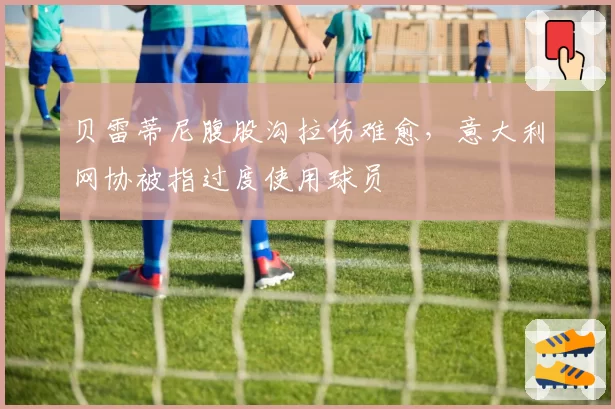 贝雷蒂尼腹股沟拉伤难愈，意大利网协被指过度使用球员