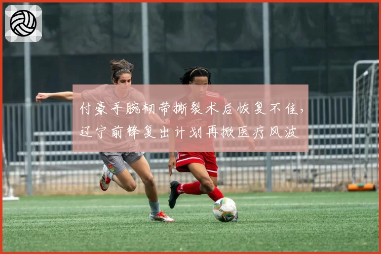 付豪手腕韧带撕裂术后恢复不佳，辽宁前锋复出计划再掀医疗风波